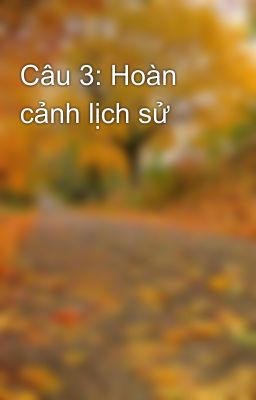 Câu 3: Hoàn cảnh lịch sử