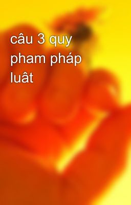 câu 3 quy pham pháp luât