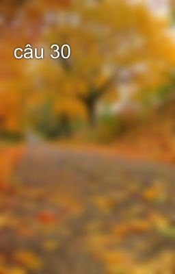 câu 30