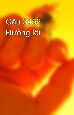 Câu 3456 Đường lối