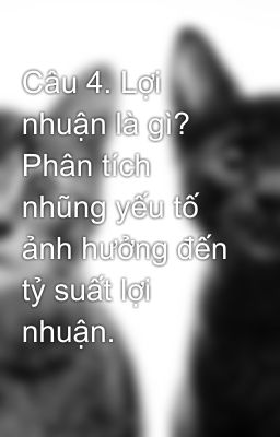 Câu 4. Lợi nhuận là gì? Phân tích nhũng yếu tố ảnh hưởng đến tỷ suất lợi nhuận.