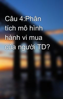 Câu 4:Phân tích mô hình hành vi mua của người TD?