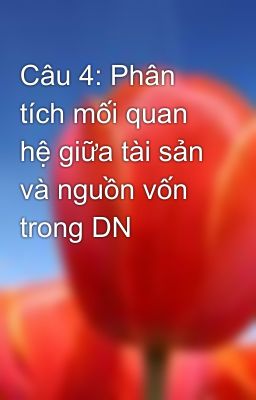 Câu 4: Phân tích mối quan hệ giữa tài sản và nguồn vốn trong DN