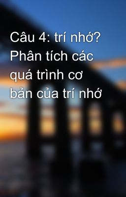 Câu 4: trí nhớ? Phân tích các quá trình cơ bản của trí nhớ