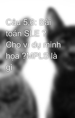 Câu 5,6: Bài toán SLE ? Cho ví dụ minh họa ?MPLS là gì