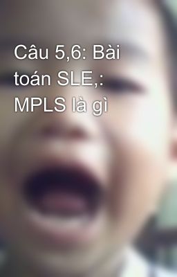 Câu 5,6: Bài toán SLE,: MPLS là gì