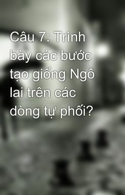 Câu 7: Trình bày các bước tạo giống Ngô lai trên các dòng tự phối?