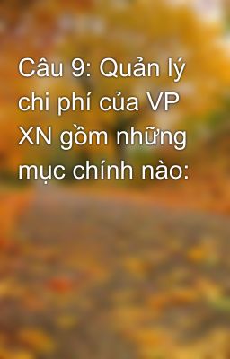 Câu 9: Quản lý chi phí của VP XN gồm những mục chính nào: