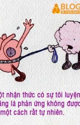 CÂU CHUYỆN NÃO VÀ TRÁI TIM