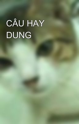 CÂU HAY DUNG