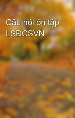 Câu hỏi ôn tập LSĐCSVN