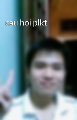 cau hoi plkt