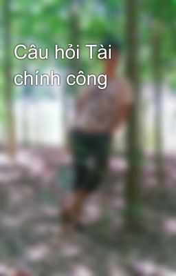 Câu hỏi Tài chính công