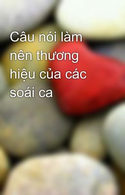 Câu nói làm nên thương hiệu của các soái ca