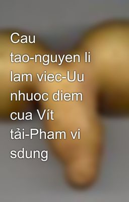 Cau tao-nguyen li lam viec-Uu nhuoc diem cua Vít tải-Pham vi sdung