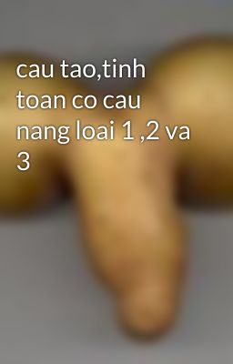 cau tao,tinh toan co cau nang loai 1 ,2 va 3