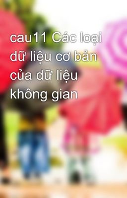 cau11 Các loại dữ liệu cơ bản của dữ liệu không gian