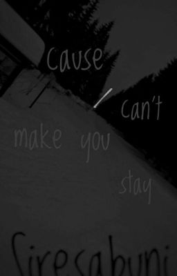 Cause I Can't Make You Stay