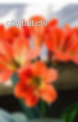 cây bút chì