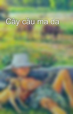 Cây cầu ma da