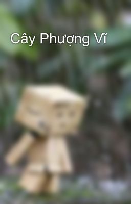 Cây Phượng Vĩ