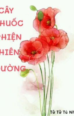 CÂY THUỐC PHIỆN THIỆN ĐƯỜNG