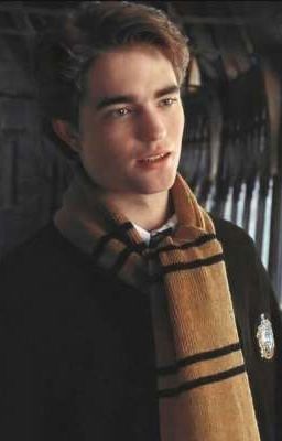 Cedric Diggory, the boy I love