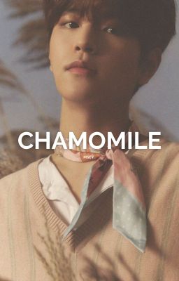 CHAMOMILE