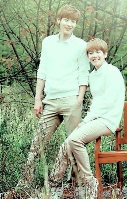 [ChanBaek/Longfic]1+1=LOVE