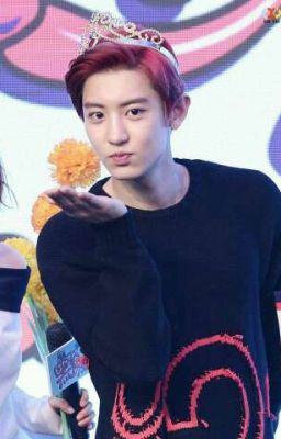 Chàng Trai Mà Em Yêu ( ChanYeol và Fangirl) EXO