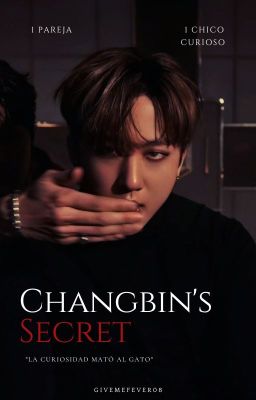 Changbin's Secret «MinBinSung»