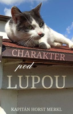 Charakter pod lupou