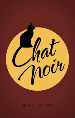 chat noir | miraculous