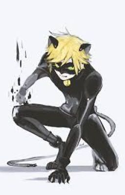 Chat Noir Oneshot