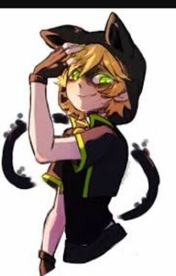 Chat Noir X Kitty Chat X Black Butler