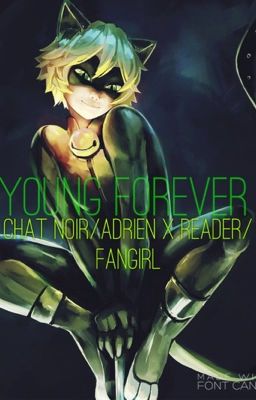 Chat Noir X Reader/Fangirl: Young Forever