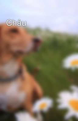 Châu