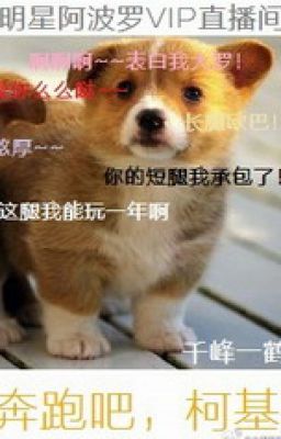 CHẠY ĐI, CORGI