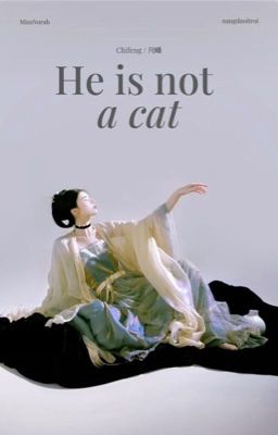 [Chifeng] He is not a cat