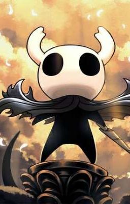 Child of the Light and the Void- A Hollow Knight fanfic 