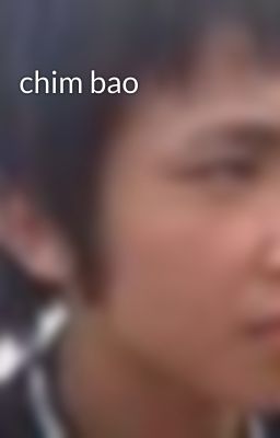 chim bao