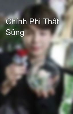 Chính Phi Thất Sủng