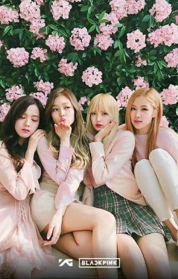 Chinh phục trái tim cậu ( BLACKPINK )