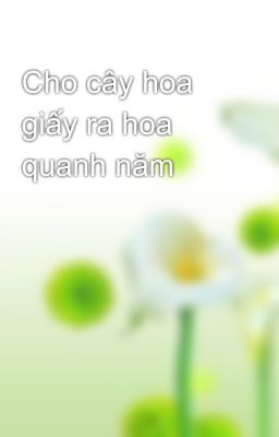 Cho cây hoa giấy ra hoa quanh năm