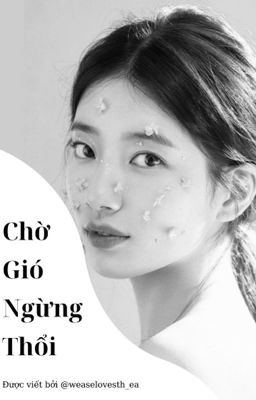 Chờ Gió Ngừng Thổi - Susé