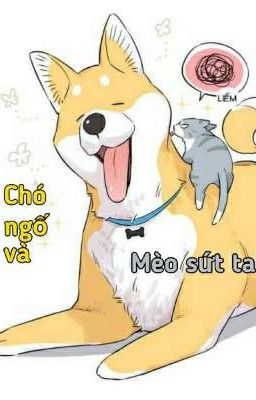 Chó ngố và mèo sứt tai