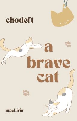 Chodeft | A brave cat