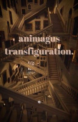 choker || animagus transfiguration.