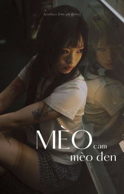 choker | mèo cam mèo đen