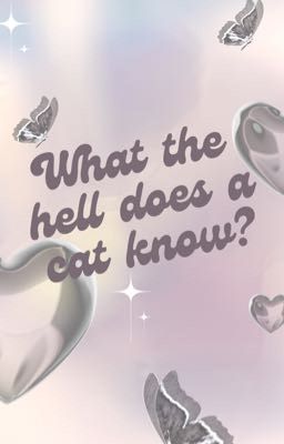 Choker | What the hell does a cat know?